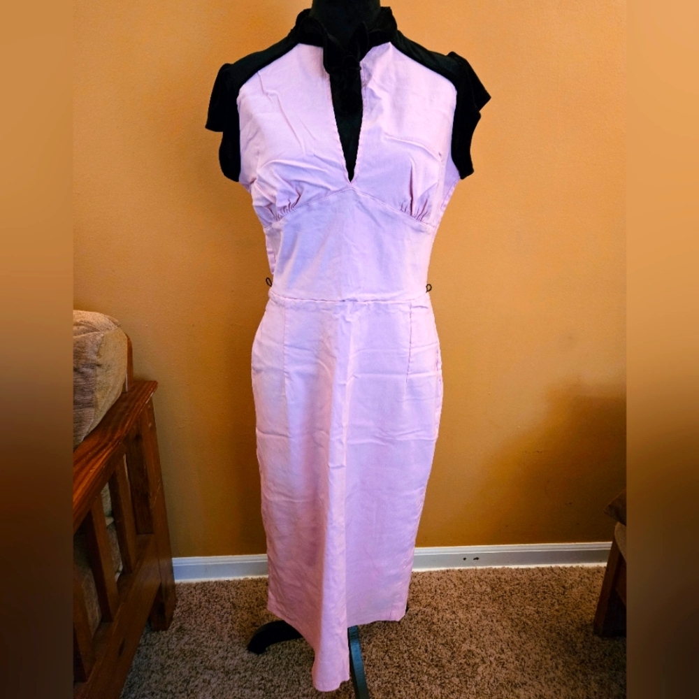 Pinup Couture Pink and Black Dress